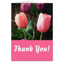 Thank You! Greeting Cards