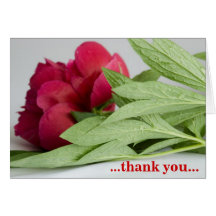 ...thank you... greeting cards