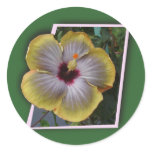 Thank you hibiscus sympathy cards round stickers