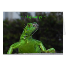Thank You Iguana Photo Greeting Card