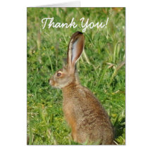 Thank You Jack Rabbit Greeting Card