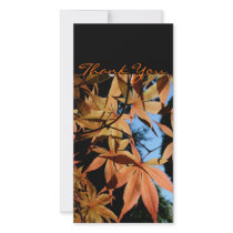 Thank you - Japanese maple - Photo Card