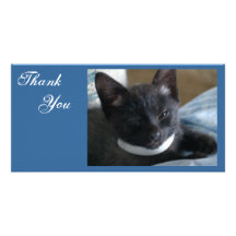 Thank You- Kitty Photocards Custom Photo Card