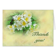 Thank You Multiflora Roses Cards