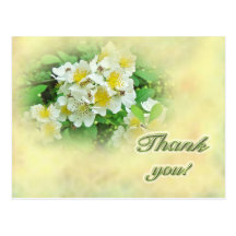Thank You Multiflora Roses Post Cards