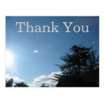 Thank You nature Postcards