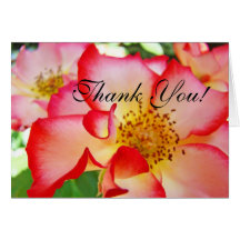 Thank You! Note Cards Red White Rose Flowers