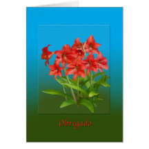 Thank You, Obrigado, Portuguese Card