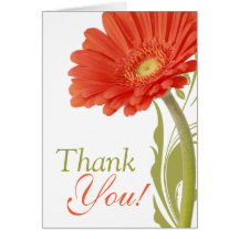 Thank You | Orange Gerbera Daisy Greeting Card