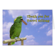 Thank You Parrot Sitting Greeting Cards