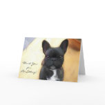 Thank You petsitter Black French Bulldog card