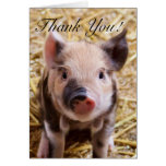 Thank you Piglet greeting card