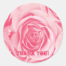 Thank You Pink Rose Sticker