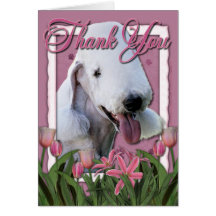 Thank You - Pink Tulips - Bedlington Terrier Card
