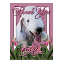 Thank You - Pink Tulips - Bedlington Terrier Postcard