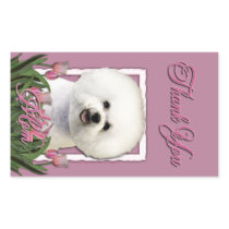 Thank You - Pink Tulips - Bichon Frise