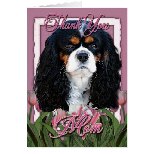 Thank You - Pink Tulips - Cavalier - Tri-Colour Cards