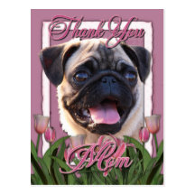 Thank You - Pink Tulips - Pug Post Cards