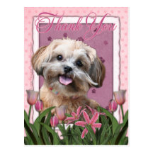 Thank You - Pink Tulips - ShihPoo - Maggie Post Card
