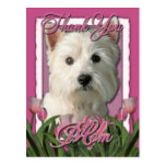 Thank You - Pink Tulips - West Highland Terrier Post Cards