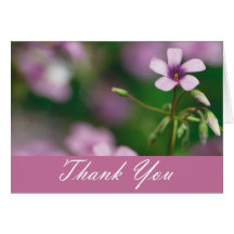 Thank You - Pink Wood Sorrel Greeting Card