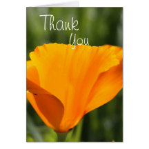 Thank you- Poppy Card