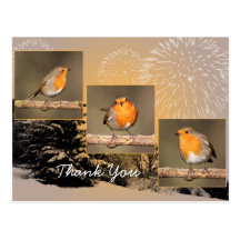 Thank You Robin Tryptych Postcard