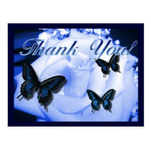 Thank You Rose & Butterflies Post Card
