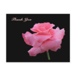 Thank You Rose Postcard