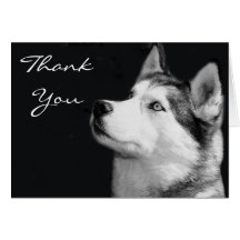Thank You Siberian Husky Greeting  Card