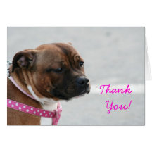 Thank You staffordshire bull terrier  card