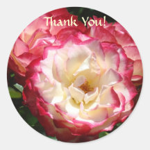 Thank You! stickers Pink White Rose Flowers