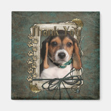 Thank You - Stone Paws - Beagle Puppy Magnet