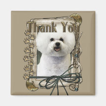 Thank You - Stone Paws - Bichon Frise Magnet