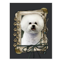 Thank You - Stone Paws - Bichon Frise Postcards