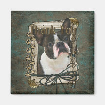 Thank You - Stone Paws - Boston Terrier Magnet