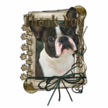 Thank You - Stone Paws - Boston Terrier