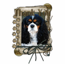 Thank You - Stone Paws - Cavalier