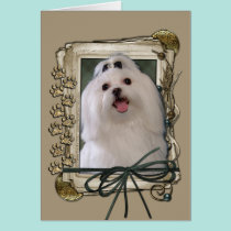 Thank You - Stone Paws - Maltese cards