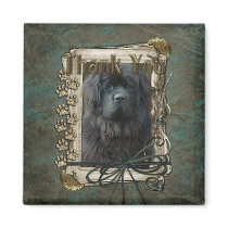 Thank You - Stone Paws - Newfoundland