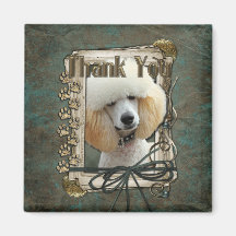 Thank You - Stone Paws - Poodle - Apricot Magnet