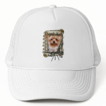 Thank You - Stone Paws - Yorkshire Terrier