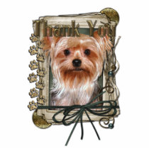 Thank You - Stone Paws - Yorkshire Terrier