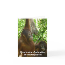 Thank You, Teacher:  Encouragement Cards