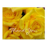 thank you volunteer yellow rose flowers post cards