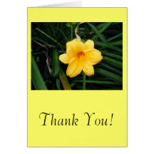 Thank You! Yellow Card