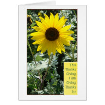 Thankful for You Card