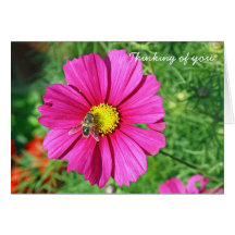 thanking of you card