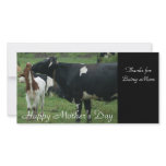 Thanks for Being Mom, Happy Mother's Day photo cards