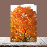 Thanksgiving Across the Miles Cards